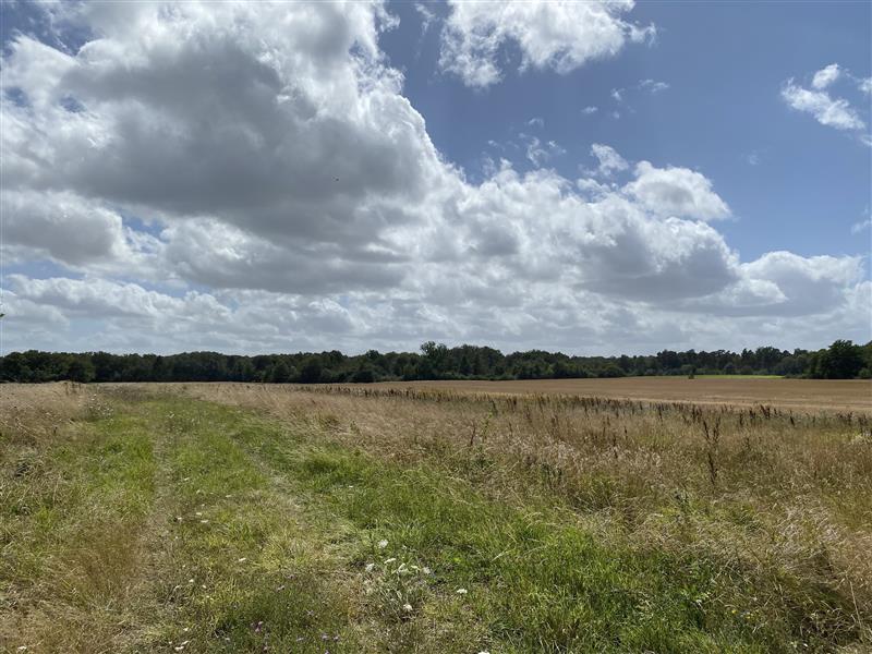 Parc agrivoltaïque d'Obterre