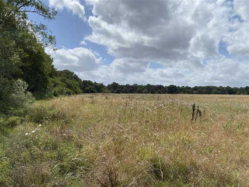 Parc agrivoltaïque d'Obterre